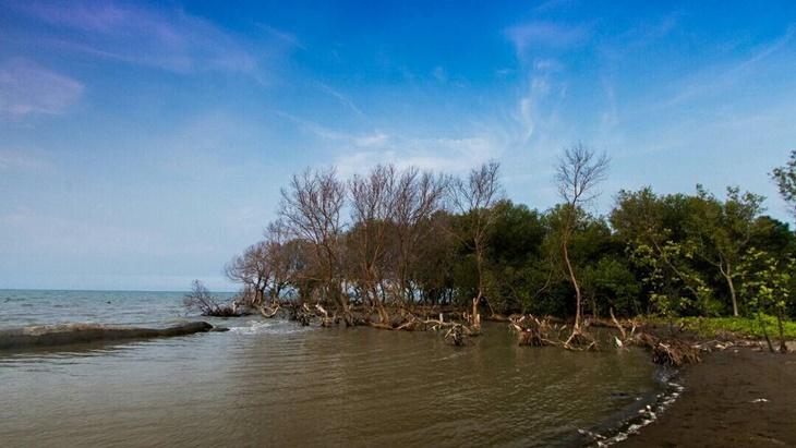 Pantai Muara Beting, Mutiara Tersembunyi di Bekasi