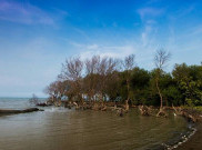 Pantai Muara Beting, Mutiara Tersembunyi di Bekasi