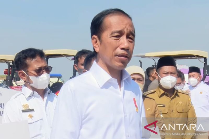 Presiden Dorong Peningkatan Produksi Lumbung Pangan di Gresik