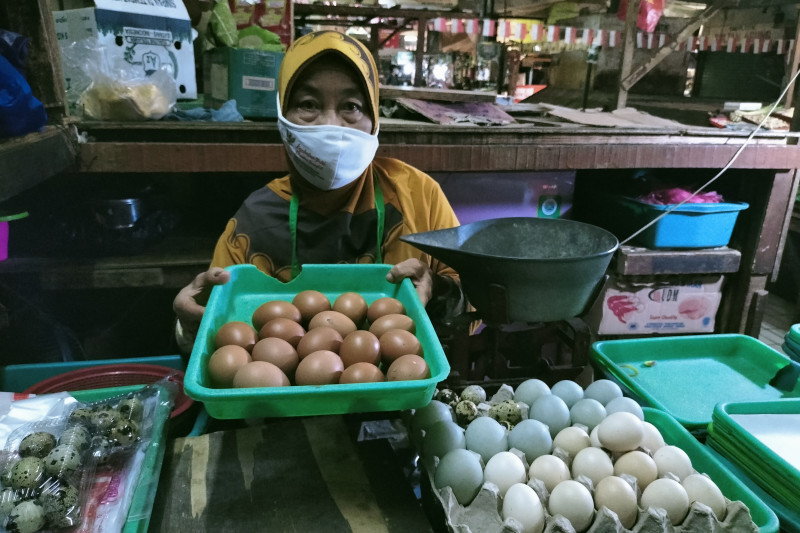 Mentan Janji Bikin Sentra Produksi Jagung dan Telur