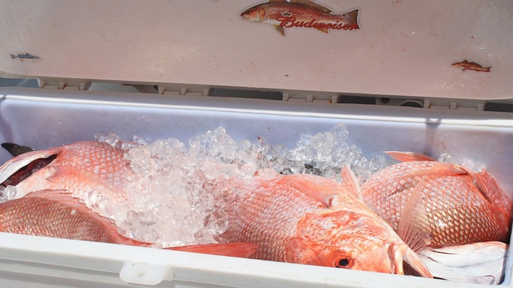 Ragam Makanan Seafood Khas Bangka Belitung, Pelancong Wajib Coba