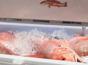 Ragam Makanan Seafood Khas Bangka Belitung, Pelancong Wajib Coba