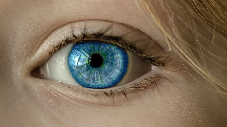 Iris mata seseorang berbeda-beda (Foto: Pixabay/cocoparisienne)