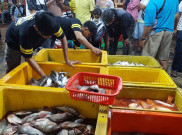 Revitalisasi Pasar Ikan Balekambang, Pemkot Gelontorkan Rp 5 Miliar