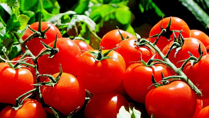 Tiga Cara Perawatan Kulit Alami dengan Buah Tomat