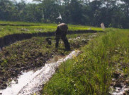 Cara Pemprov DKI Peringati Hari Pangan Sedunia