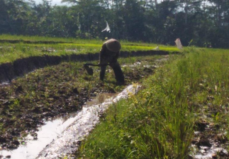 Cara Pemprov DKI Peringati Hari Pangan Sedunia