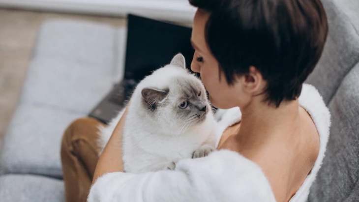 Kucing Tahu Jika Pemiliknya Mengajak Bicara