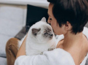 Kucing Tahu Jika Pemiliknya Mengajak Bicara
