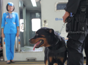 Pengamanan Natal dan Tahun Baru, PT KAI Surabaya Libatkan Anjing Pelacak
