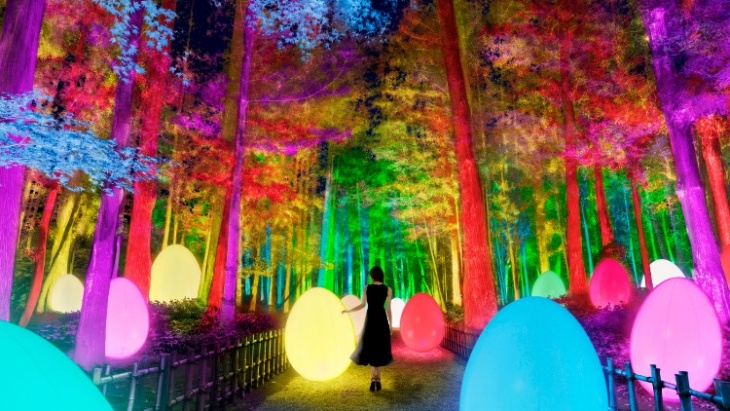 Instalasi Seni Cahaya Warna-Warni di Taman Kairakuen Jepang