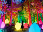Instalasi Seni Cahaya Warna-Warni di Taman Kairakuen Jepang