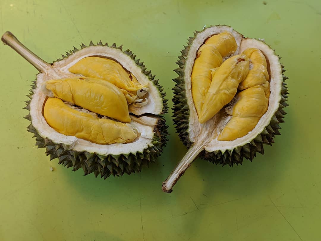 Durian Musang King