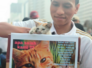 Komunitas Pencinta Hewan Geram Lihat Si Pemakan Kucing Masih Keliaran di Kemayoran