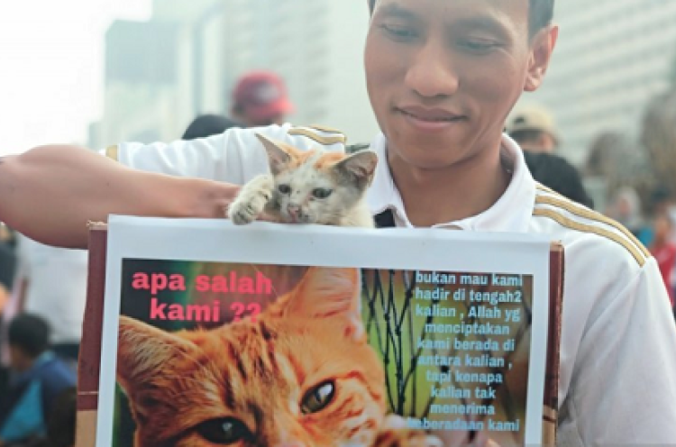 Komunitas Pencinta Hewan Geram Lihat Si Pemakan Kucing Masih Keliaran di Kemayoran