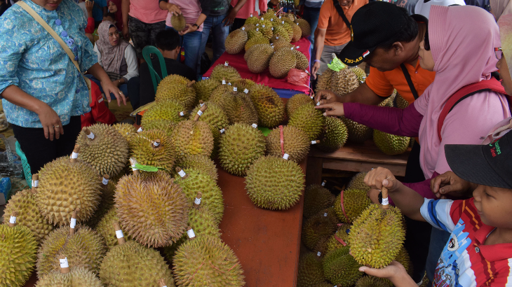 Promosi Durian Ngawi, Petani Tawarkan Petik Langsung dari Pohon