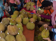 Promosi Durian Ngawi, Petani Tawarkan Petik Langsung dari Pohon