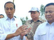 Prabowo Targetkan 3 Tahun Lagi IKN Optimal Berfungsi Sebagai Ibu Kota