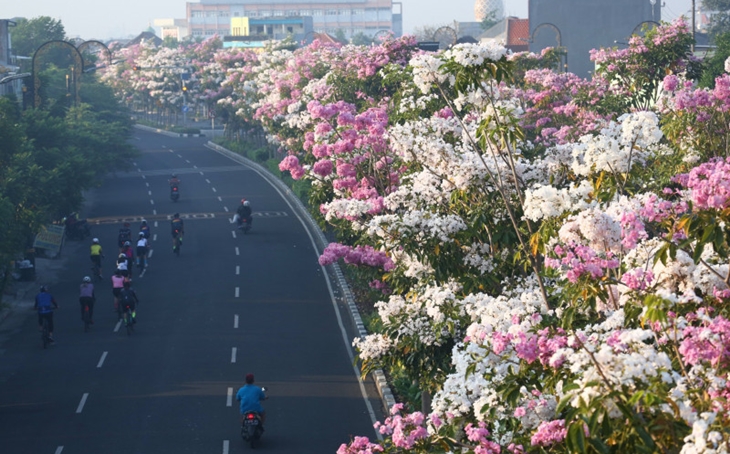 Surabaya Miliki Udara Terbersih Se-Asia Tenggara