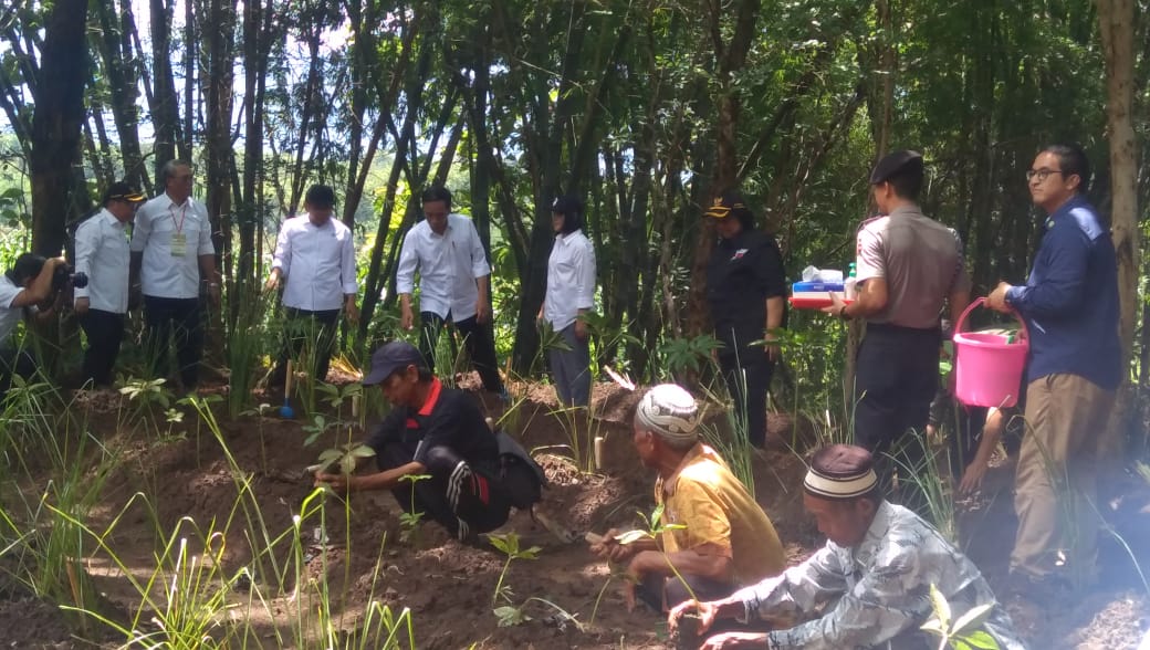 Presiden Jokowi dan Ibu Irana Jokowi melalukan kunjungan kerja di Kecamatan Jatisrono, Kabupaten Wonogiri, Jawa Tengah, Sabtu (15/2). (MP/Ismail)