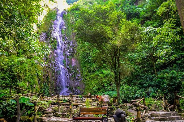 Tlogo Muncar (Instagram/yusuf_chiller)