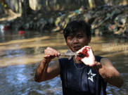 Perburuan Ikan Sapu-sapu di Sungai Ciliwung: Mengatasi Spesies Invasif di Jakarta