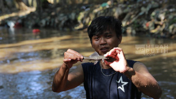 Perburuan Ikan Sapu-sapu di Sungai Ciliwung: Mengatasi Spesies Invasif di Jakarta