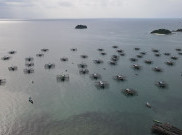 Foto: Tanjung Binga, Surga Ikan Asin Ada di Sana