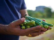 Kurang Dikenal, Sayuran Okra Merah Ternyata Punya Segudang Manfaat Bagi Kesehatan