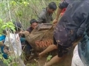 Lima Orang Meninggal Tertimbun Tanah Longsor di Luwu 