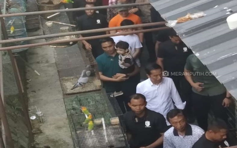  Presiden Jokowi Ajak Jan Ethes Blusukan ke Pasar Burung Depok Solo