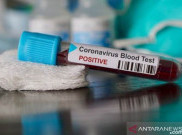 Update Corona Jumat (29/5): Positif 7.054, Sembuh 1.807 Orang