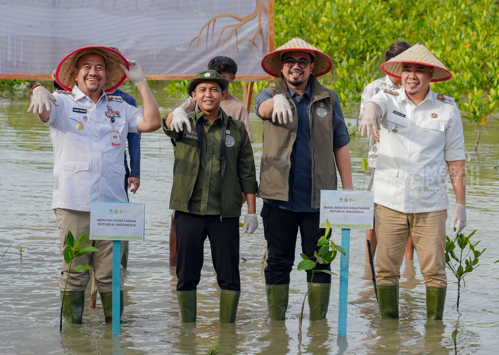 M4CR Targetkan 41.000 Hektare Rehabilitasi Mangrove di 4 Provinsi hingga Tahun 2027