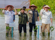 M4CR Targetkan 41.000 Hektare Rehabilitasi Mangrove di 4 Provinsi hingga Tahun 2027