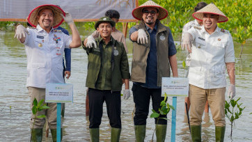 M4CR Targetkan 41.000 Hektare Rehabilitasi Mangrove di 4 Provinsi hingga Tahun 2027