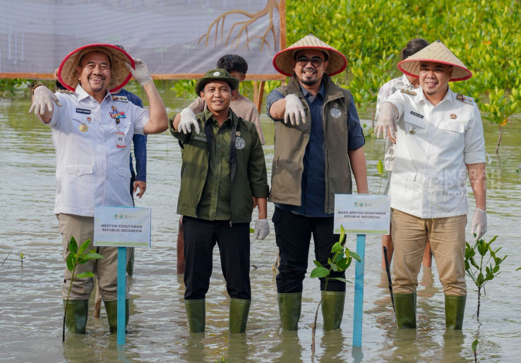 M4CR Targetkan 41.000 Hektare Rehabilitasi Mangrove di 4 Provinsi hingga Tahun 2027
