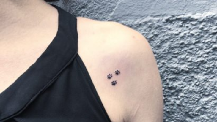 tato anjing