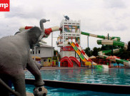 Bermain Ekstrim di Boomerang Kolam Gajah