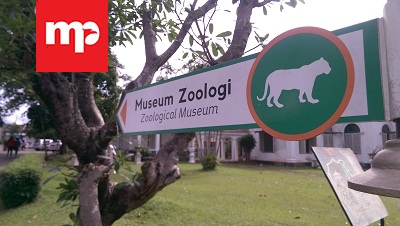 Asal Muasal Museum Zoologi