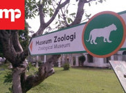 Asal Muasal Museum Zoologi