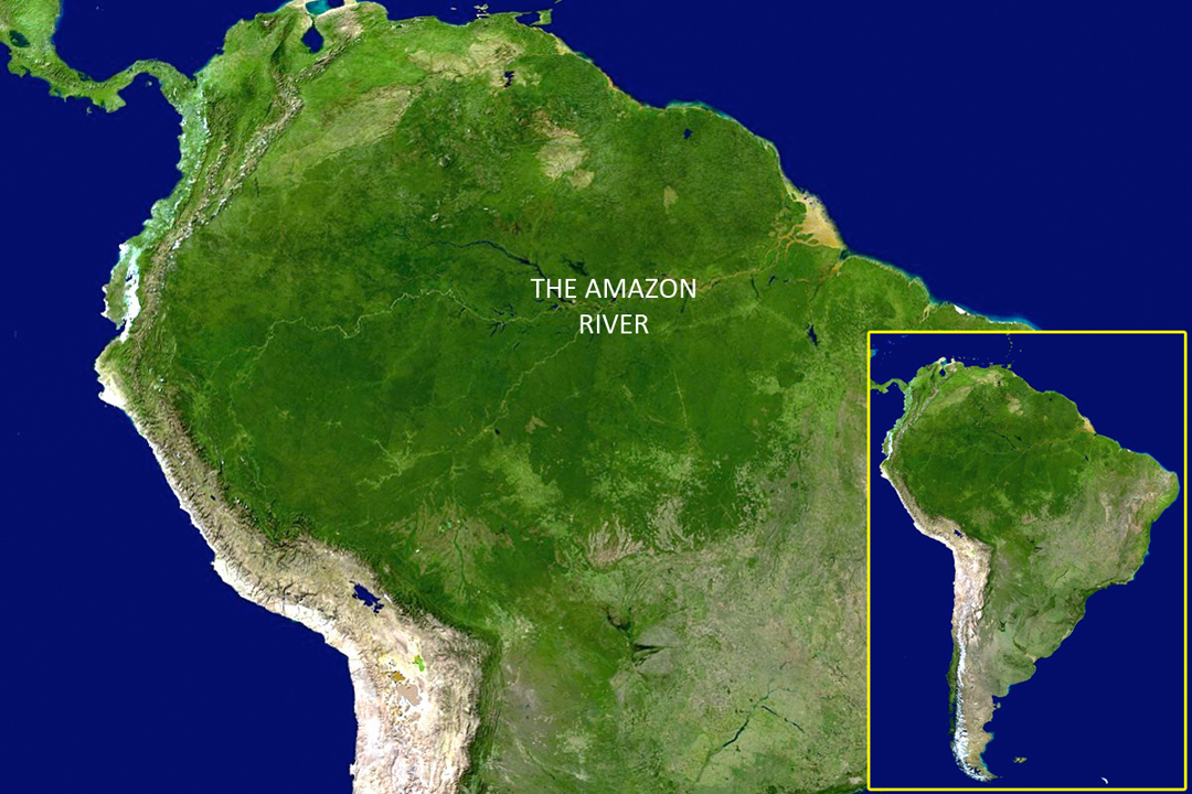 Kebakaran Hutan Amazon