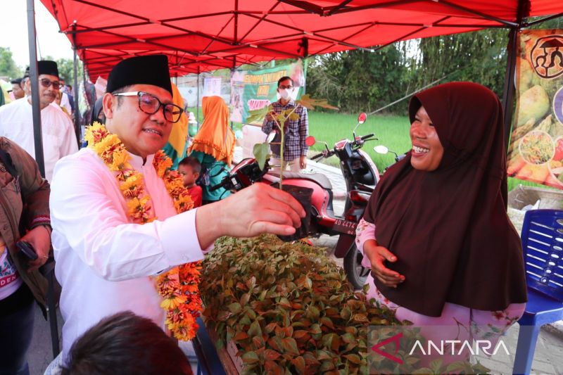 Cak Imin soal Tarif QRIS 0,3 Persen: UMKM Baru Bangkit, Janganlah Dibebani Dulu