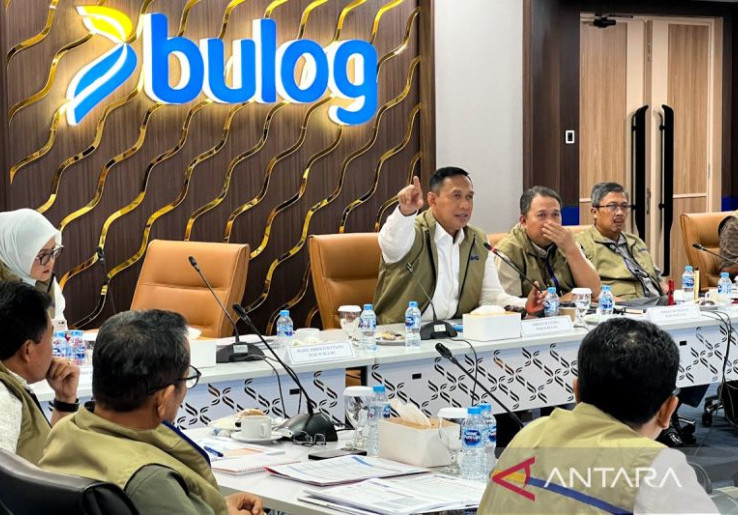 Bulog dan Bapanas Bakal Dileburkan