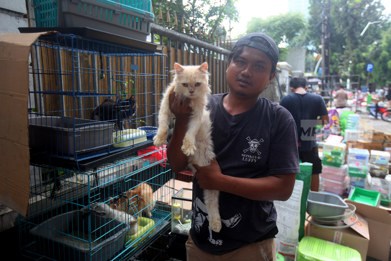 Pedagang membawa hewan peliharan usai penertiban kios Pasar hewan Peliharaan Barito, Jakarta Selatan, Senin (27/10/2025).