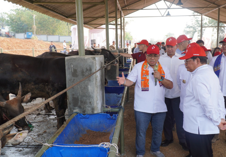Pemprov DKI Bangun Kawasan Peternakan Sapi Terintegrasi di Ciangir, Investasi Capai Rp 1 Triliun
