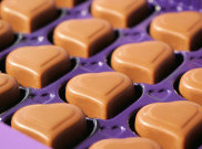 Asup Cokelat untuk Redakan Kecemasan
