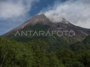 BPBD DIY Ingatkan Masyarakat Soal Status Siaga Gunung Merapi, Jangan Coba-Coba Mendaki!