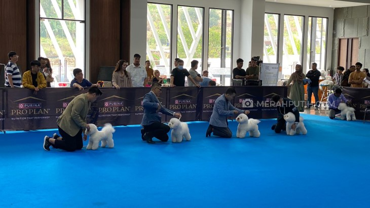 Serunya Kontes Anjing Perkin Jaya di JSI Resort