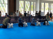 Serunya Kontes Anjing Perkin Jaya di JSI Resort