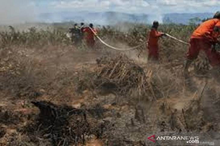Petugas dari Manggala Agni Tinanggea saat berupaya melakukan pemadaman api yang membakar lahan perkebunan di Kabupaten Koltim. (foto dok.Manggala Agni)